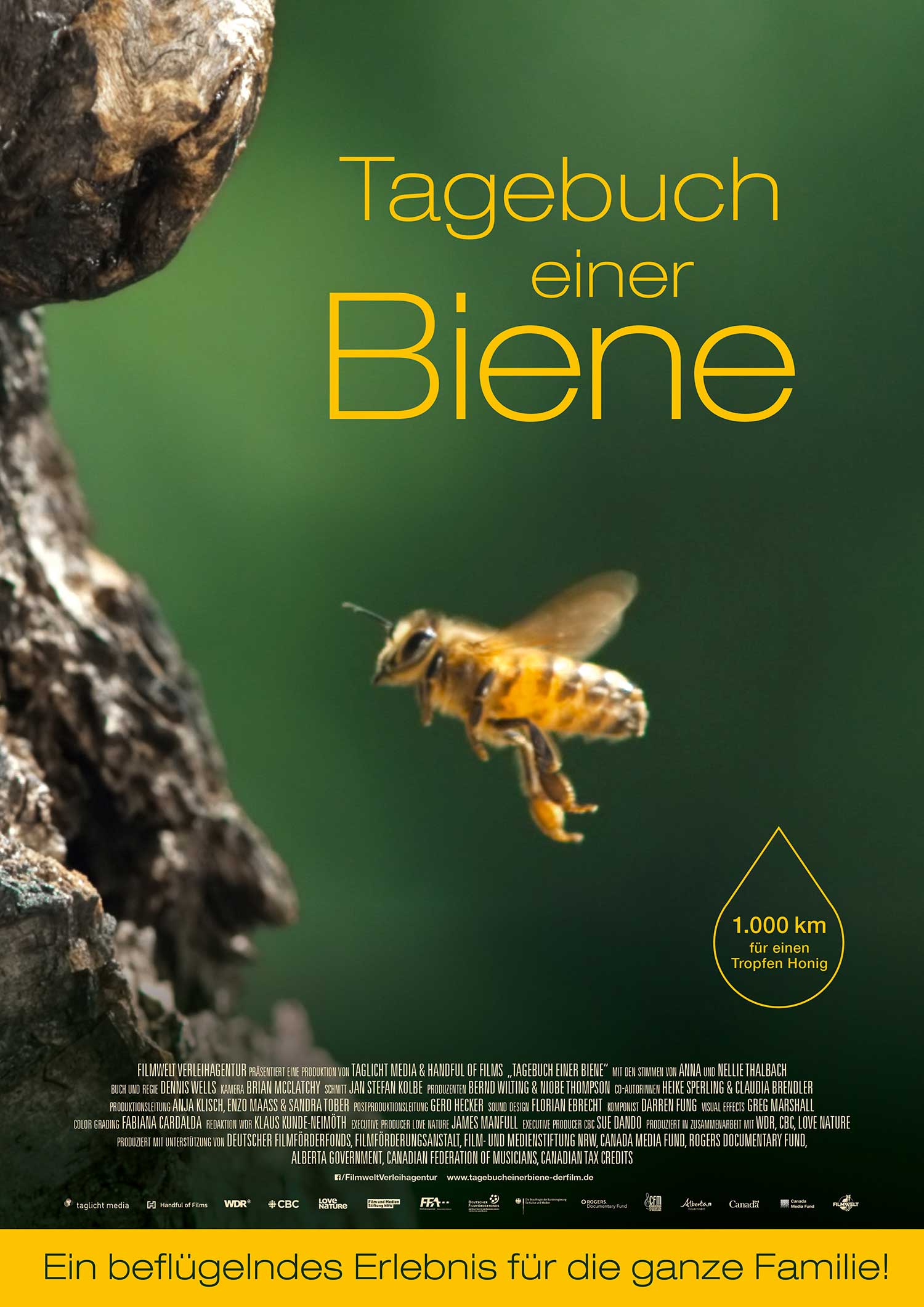 Filmtipp: Tagebuch einer Biene